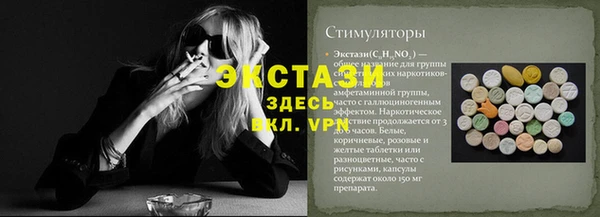индика Алексин
