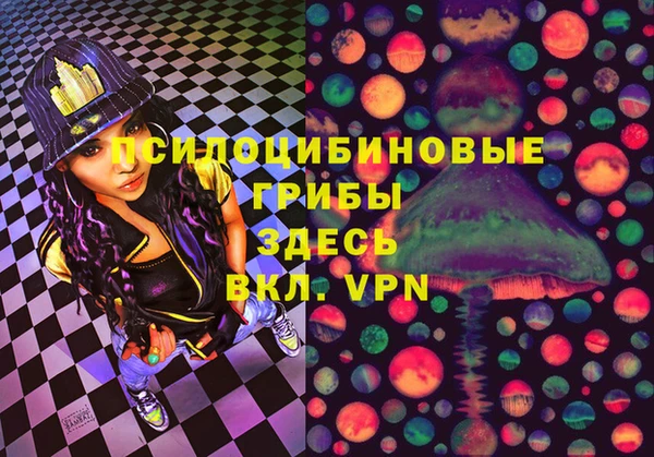 индика Алексин