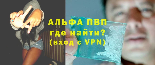 индика Алексин