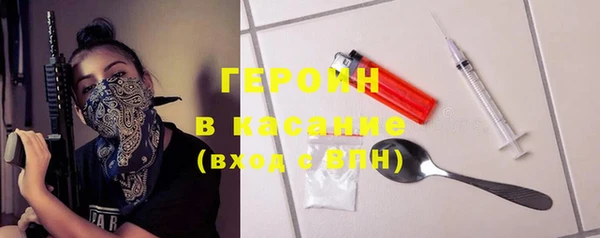 индика Алексин
