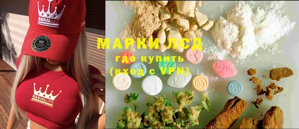 индика Алексин