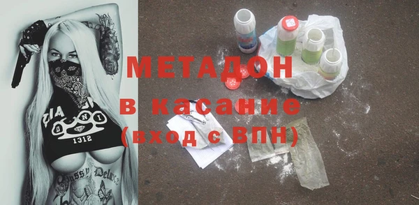 индика Алексин