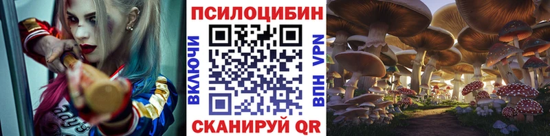 omg   Бердск  Галлюциногенные грибы MAGIC MUSHROOMS 